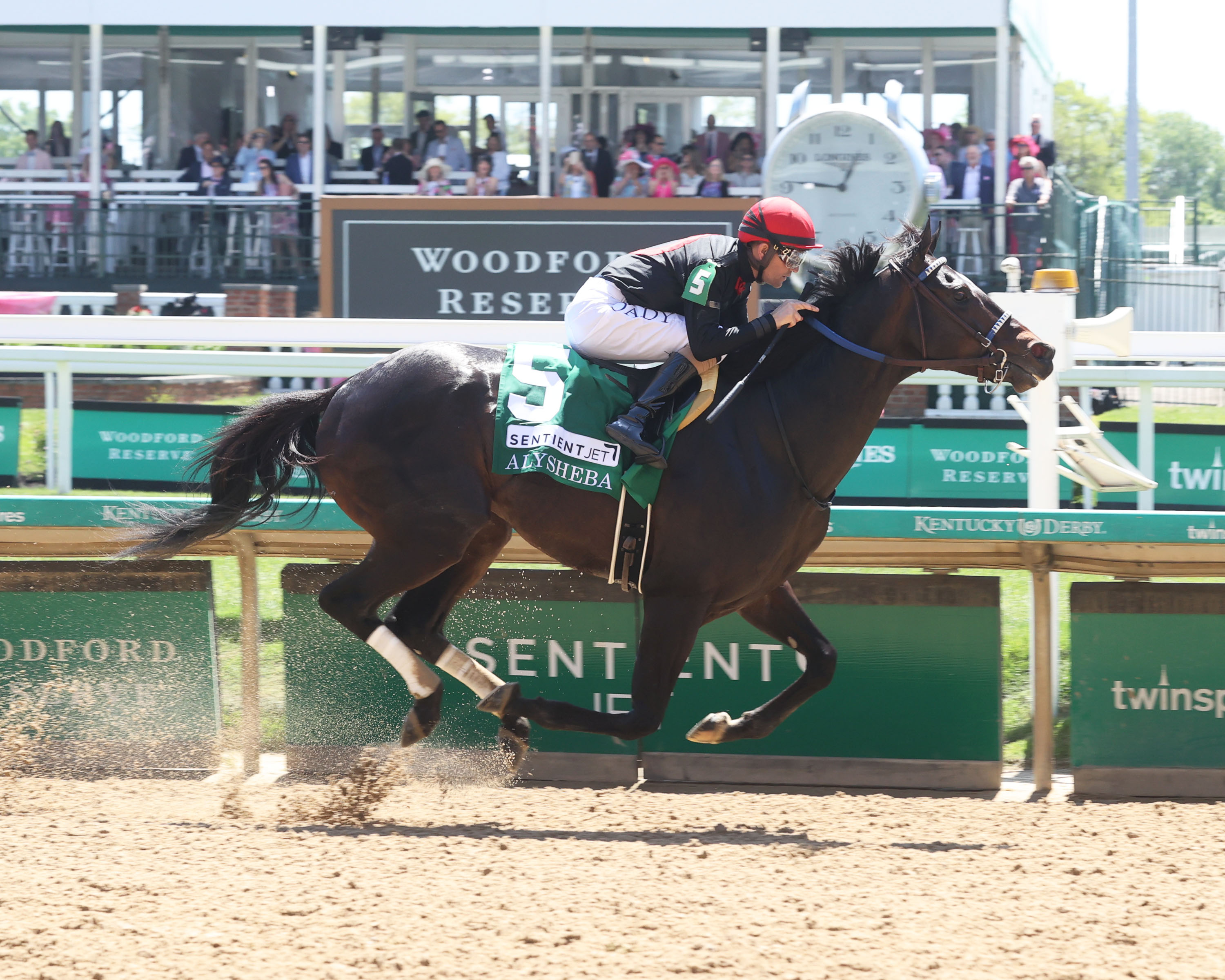 Stephen Foster Day Stakes Advances Multiple Graded Stakes Winner Smile